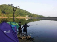 유료터정보 > 유료터점주조황 > 안성죽산장계지