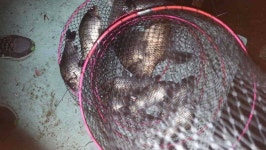 유료터정보 > 유료터점주조황 > 천안입장지 월요일 조황소식입니다.