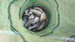 유료터정보 > 유료터점주조황 > 천안입장지 주말소식입니다