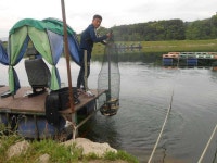 유료터정보 > 유료터점주조황 > *****실시간 조황사진 올려봅니다*****