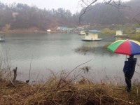 유료터정보 > 유료터점주조황 > 행복낚시터(요룡저수지)