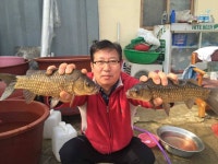 유료터정보 > 유료터점주조황 > 행복낚시터 요룡지 2016년 조황정보입니다.