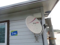 유료터정보 > 유료터점주조황 > 멋진한가위 되셔요 반제지 어제도대방류해놓았습니다