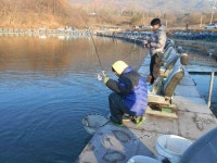 초원축산장락점주 | 유료터정보 > 유료터점주조황 > 초원낚시터 조황입니다^^^