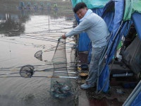 유료터정보 > 유료터점주조황 > *****실시간 조황사진 올려봅니다*****