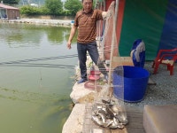 유료터정보 > 유료터점주조황 > 만수위의 거청낚시터 가족낚시터 붕어조황 5월 30 유료터정보 > 유료터점주조황 > 만수위의  거청낚시터... 