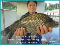 유료터정보 > 유료터점주조황 > 도심속의 작은 쉼터 ! 화성 관리 낚시터입니다.