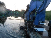 유료터정보 > 유료터점주조황 > *****실시간 조황사진*****