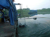 유료터정보 > 유료터점주조황 > *****실시간 조황사진*****