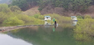 유료터정보 > 유료터점주조황 > (행복낚시터) 공주 조황입니다.