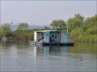 유료터정보 > 유료터점주조황 > 18.05.28 송전지 서울집 조황