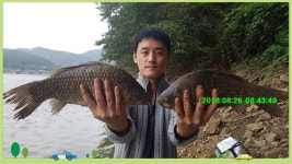 유료터정보 > 유료터점주조황 > 신원낚시터 [8월 넷쨋주] 토종 덩어리 소식입니다~~