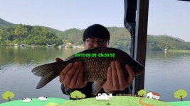 유료터정보 > 유료터점주조황 > 신원낚시터 [5월 마지막주] 연이은 토종4짜의 행진입니다`~