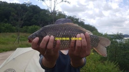 유료터정보 > 유료터점주조황 > 신원낚시터 [9월 10일] 토종 4짜 조황 소식입니다~~