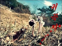 커뮤니티 > 자유게시판 > 귀곡지