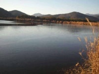 커뮤니티 > 자유게시판 > 오늘 청도 청석지의 모습 입니다...