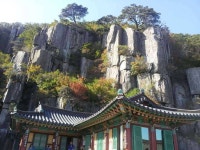 커뮤니티 > 자유게시판 > 주말 산행