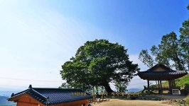 커뮤니티 > 자유게시판 > 금락정