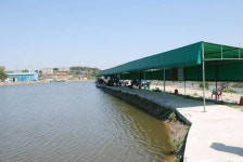 커뮤니티 > 자유게시판 > 봉교리낚시터 탐방보고서