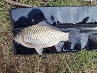 커뮤니티 > 자유게시판 > 1호,2호 커뮤니티 > 자유게시판 > 1호,2호 