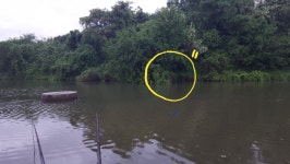 커뮤니티 > 자유게시판 > 생자리