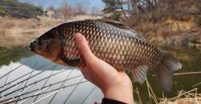 커뮤니티 > 자유게시판 > 식사하셨습니까??