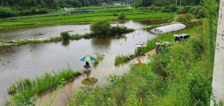 커뮤니티 > 자유게시판 > 이게 뭠니까~?