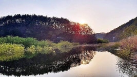 조황조행기 > 화보조행기 > 경북상주권!!