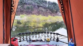 조황조행기 > 화보조행기 > 경북상주권!!