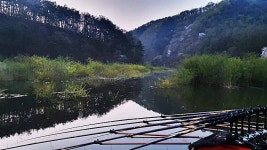 조황조행기 > 화보조행기 > 경북상주권!!