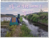 조황조행기 > 화보조행기 > 논 또랑 낚시 ,,,