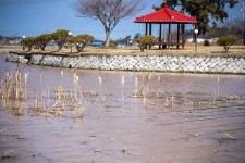 조황조행기 > 화보조행기 > 인평지 올해 첫 붕어낚시