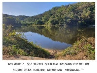 조황조행기 > 화보조행기 > 산속소류지...
