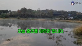 조황조행기 > 화보조행기 > 세종소류지 옥수수 새우에 마릿수 붕어!! 조황조행기 > 화보조행기 > 세종소류지 옥수수 새우에 마릿수 붕어!! 