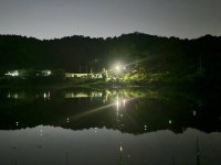 조황조행기 > 화보조행기 > 하절기에 접어든 저수지 조황조행기 > 화보조행기 > 하절기에  접어든 저수지