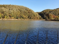 조황조행기 > 화보조행기 > 낚시는 즐거워.