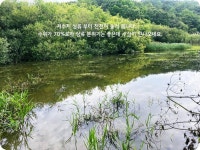 조황조행기 > 화보조행기 > 지난조행..