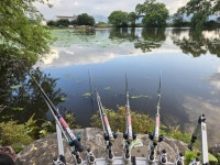 조황조행기 > 화보조행기 > 까멜리아의 69번째 조행기 단합대회