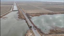 조황조행기 > 화보조행기 > 인생 첫 호남권 붕어낚시 - 영암호 망산리권