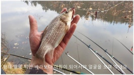 조황조행기 > 화보조행기 > 피싱 패밀리(11월에2박)