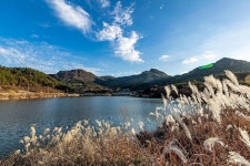 조황조행기 > 화보조행기 > C씨의 낚시 여행 - 내 마음속에는 늘 너의 한조각이 있어