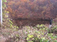 조황조행기 > 낚시점 조황 > 지난주 조황과 이번주 출조지 정보