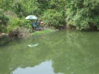 조황조행기 > 낚시점 조황 > 거제 배수중에 호조황... 조황조행기 > 낚시점 조황 > 거제 배수중에  호조황...