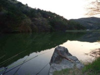 조황조행기 > 낚시점 조황 > 거제 계곡지 붕어...