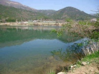 조황조행기 > 낚시점 조황 > 거제도 월척들....