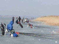 조황조행기 > 낚시점 조황 > 천수만 얼음낚시 조황-- 출조시참고하세요