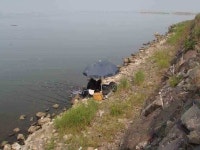 조황조행기 > 낚시점 조황 > 천수만[부남호] 6월11~12일 혹부리40cm와 대물조황