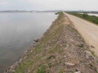 조황조행기 > 낚시점 조황 > 천수만[부남호] 5월27일 40cm급 마리수조황