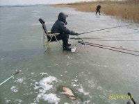 조황조행기 > 낚시점 조황 > 천수만 얼음낚시 조황 정보