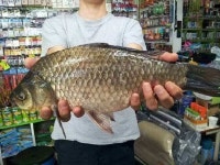 조황조행기 > 낚시점 조황 > 이제는 4짜 저수지다!!!